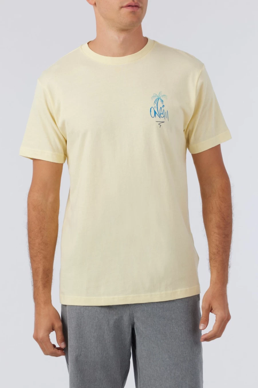 O'Neill Men's Sketchy Tee T-Shirt in Pale Yellow
