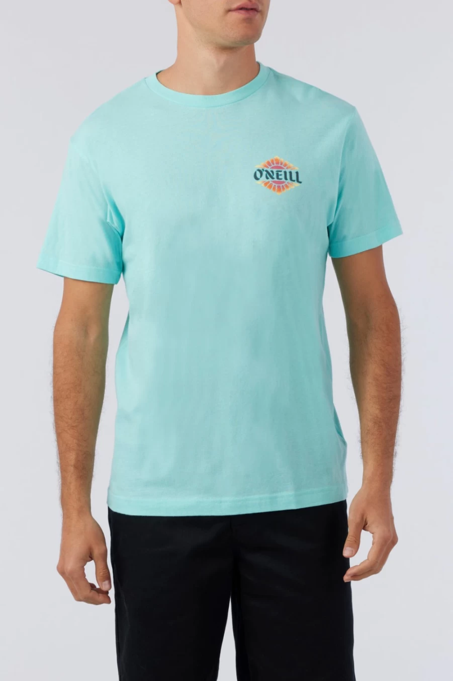 O'Neill Men's Swami Tee T-Shirt in Turquoise